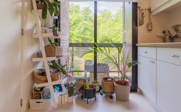 Appartement à louer a Woluwe-Saint-Pierre