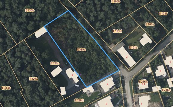 Bois à vendre a Kasterlee