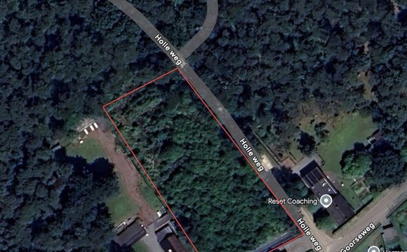 Bos te koop in Kasterlee