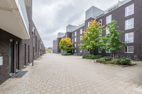 Duplex te huur in Leuven