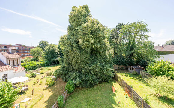 Duplex te koop in Kraainem