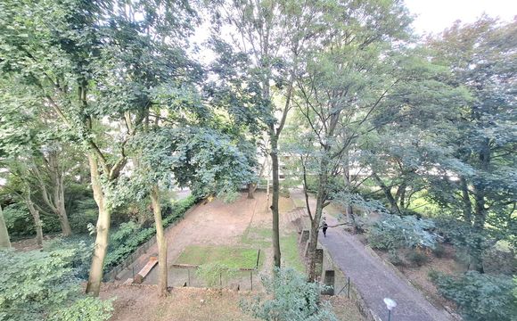 Flat for rent in Woluwe-Saint-Pierre