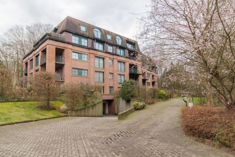 Gelijkvloerse verdieping te huur in Wezembeek-Oppem