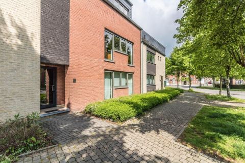 Ground floor for rent in Winksele
