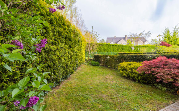 House for rent in Kraainem