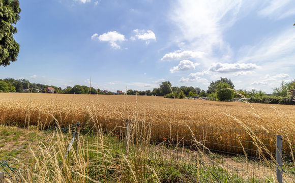 Huis te koop in Zaventem