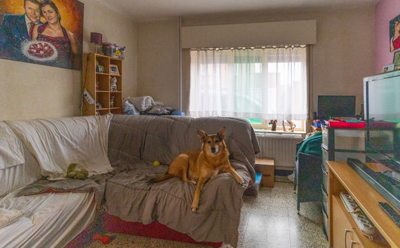 Maison à vendre a Haacht